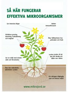 Verkan av Effektiva Mikroorganismer