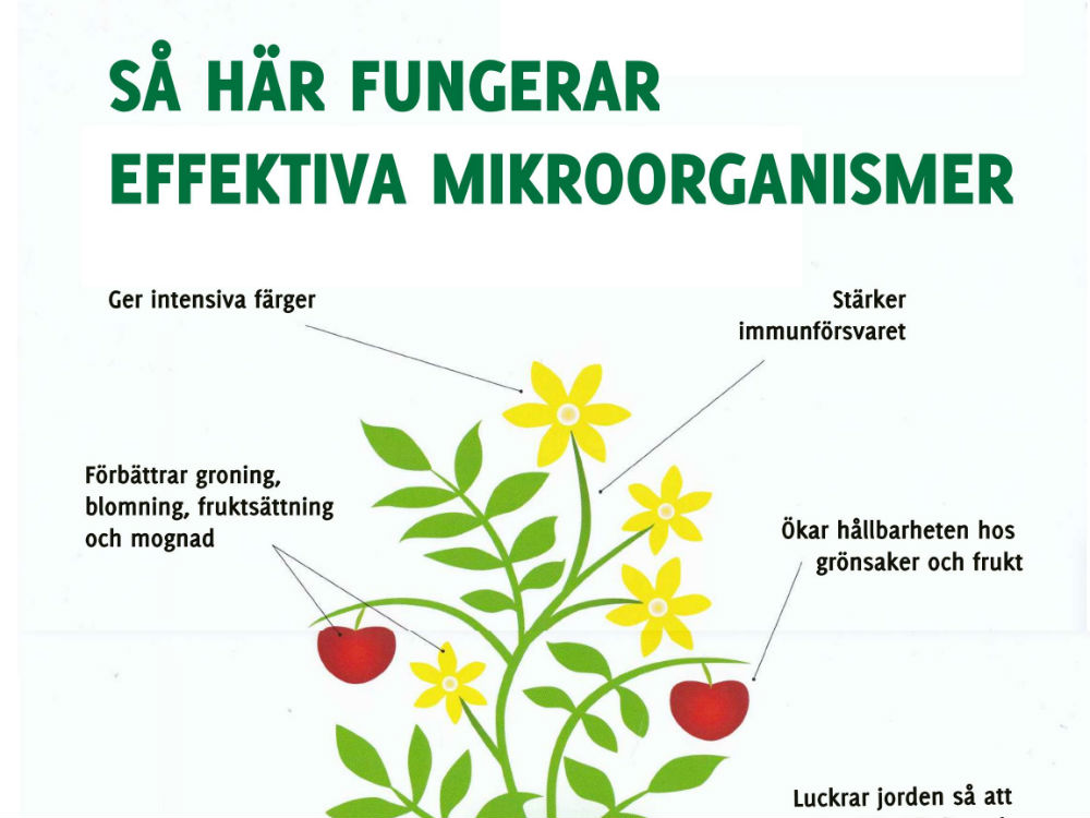 Verkan av EM